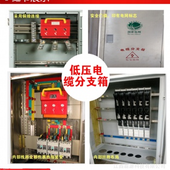 低壓電纜分支箱 生產(chǎn)戶外進線開關(guān)型電纜分接箱