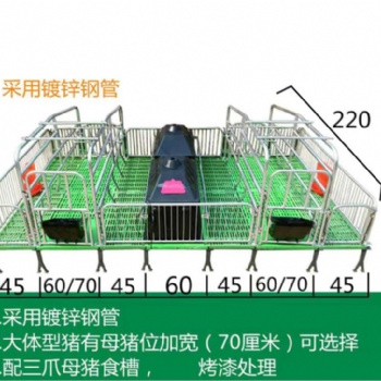 廠家供應熱鍍鋅加厚母豬產床復合板母豬產床產床生產批發