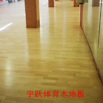 籃球館羽毛球館體育運動木地板