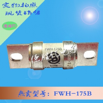 巴斯曼熔斷器 FWH-175B 量多全新供應 可詢