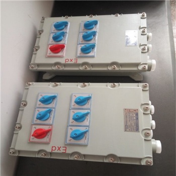 BXM51-12T/K100XD防爆照明配電箱