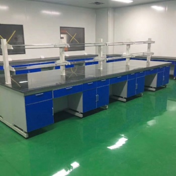鋼木實驗臺廠家供應邊臺中央臺實驗室家具配件排風通風柜不銹鋼工作臺