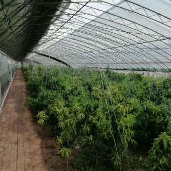 溫室大棚配件電動卷被機(jī)