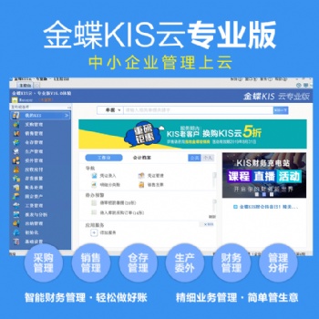 金蝶KIS云專業(yè)版V16.0總賬+報表財務ERP軟件