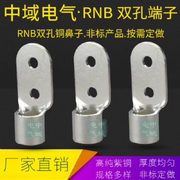定做銅鼻子定做雙孔銅鼻子定做RNB銅鼻子雙孔RNB接線端子 中域電氣