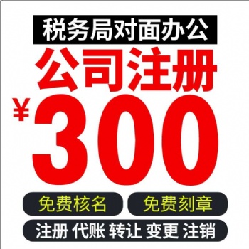 巢湖安居旁財務(wù)公司 加急代辦注冊公司 代賬專業(yè)細(xì)致