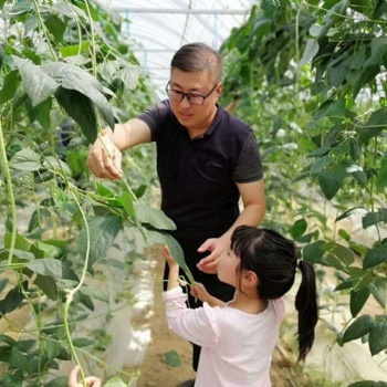 度假來胖仔農莊體驗農家風情