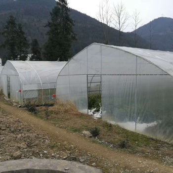 中國河北滄州溫室大棚配件