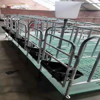 廠家直供母豬定位欄 復合定位欄支持定制 量大從優