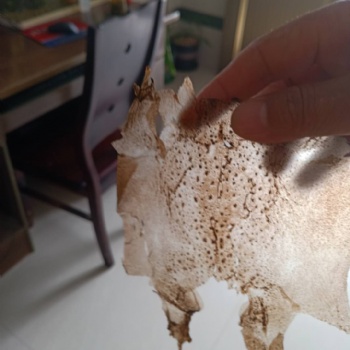 癩蛤蟆衣的質量怎樣識別,通州蟾業