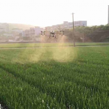 廣東廣西無人機(jī)馬蹄花生玉米茶樹打藥服務(wù)