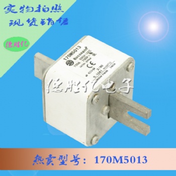 巴斯曼熔斷器 170M5013 全新出售供應