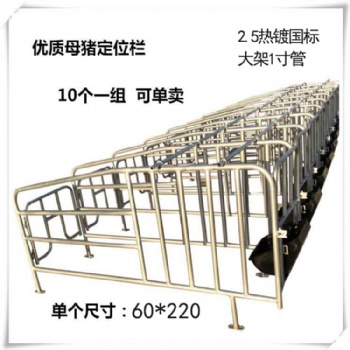母豬定位欄 限位欄廠家定制 價(jià)格實(shí)惠
