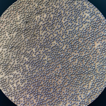 20Cr13不銹鋼粉末 專業(yè)不銹鋼粉末生產(chǎn)廠家