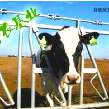 自鎖式牛頸枷如何使用