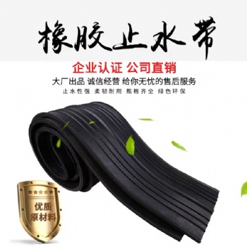云南麗水 中埋式橡膠止水帶廠家