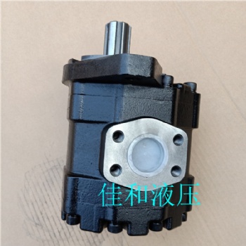長(zhǎng)江齒輪泵CBY3063-172L 佳和液壓供應(yīng)