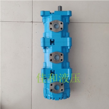 CBY3100/3080/3040-2FRT長(zhǎng)江三聯(lián)齒輪油泵