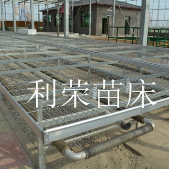 河北利榮苗床廠家現貨苗床供應
