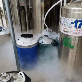光明液氮供應 10升小液氮罐出租 光明氮氣配送