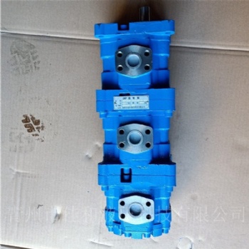 CBY2032/2032/K1012-2TR 長(zhǎng)江三聯(lián)齒輪泵