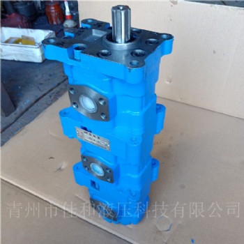 長(zhǎng)江齒輪泵 CBY3100/2040/2040-A2FR 三聯(lián)齒輪泵 供應(yīng)黃海鉆機(jī)