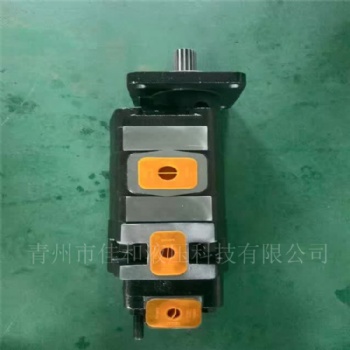 正遠(yuǎn)400B鉆機(jī)配套齒輪泵