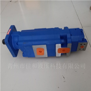 掘進(jìn)機(jī)配套齒輪泵 布姆克齒輪泵供應(yīng)