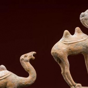 展覽品需要進(jìn)口到國(guó)內(nèi)參展需要辦理什么|ATA單證辦理資料