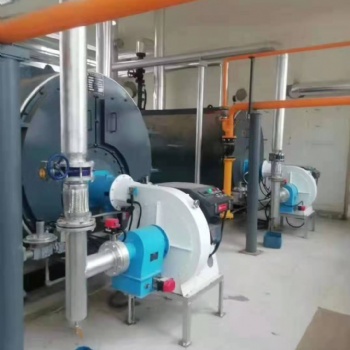 燃燒器廠家 480萬大卡燃燒器 鍋爐燃燒器 天然氣燃燒器 超低氮燃燒器 諾克貝尼燃燒器