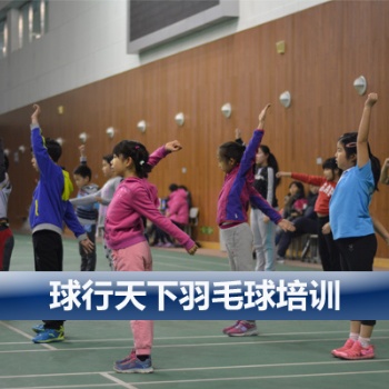 球行天下東城地壇體育館青少年兒童羽毛球培訓