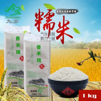 貴州從江九薌農業香禾糯招代理廠家