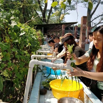 深圳寶安區農家樂，深圳農家樂團建拓展，深圳周邊好玩的農家樂
