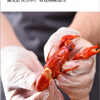家用防護(hù)手套 透明一次性PVC手套批發(fā)