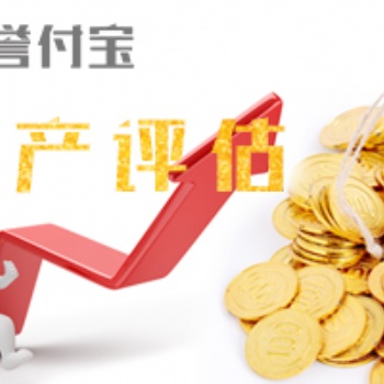 譽付寶海峽資產(chǎn)評估，專業(yè)評估機構(gòu)，15年運營經(jīng)驗