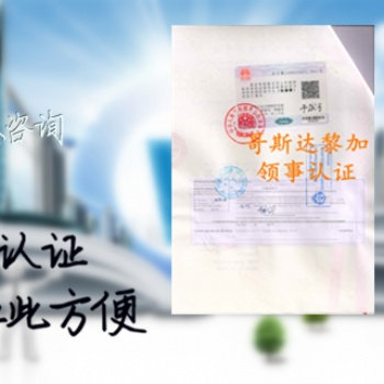 斐濟領館蓋章公證書|無犯罪公證書