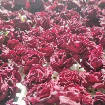 西部大旗玫瑰花烘干機(jī)