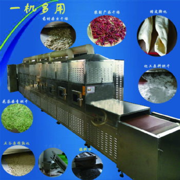 環(huán)保型食品微波干燥滅菌設(shè)備生產(chǎn)線