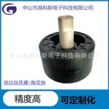 高科斯燒結(jié)釹鐵硼魚缸增壓泵電機(jī)轉(zhuǎn)子