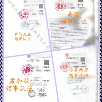 斐濟大使館財務審計/章程/周年申報表加簽