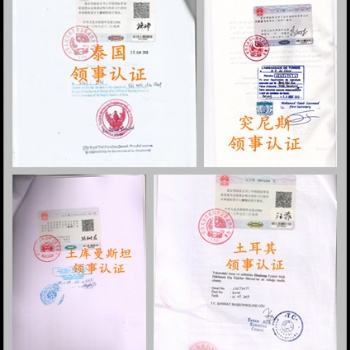 阿爾及利亞審計報告領館蓋章;阿爾及利亞領館蓋章