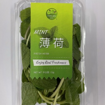 薄荷葉嫩頭新鮮可食用泡水調酒香料西餐擺盤裝飾批發銷售餐飲門店西餐廳酒店供應超市直供全國物流冷鏈保鮮