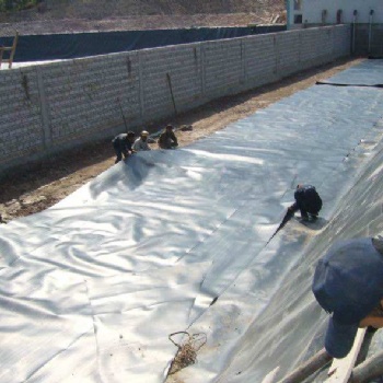 黑龍江hdpe土工膜生產廠家防滲土工膜價格