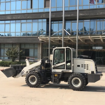 新疆地下室養殖棚用低矮裝載機農用工程用小鏟車矮體鏟車
