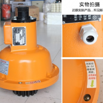 施工升降機配件 施工電梯防墜器30 SAJ40-1.2興翔安全器 啟東三聯
