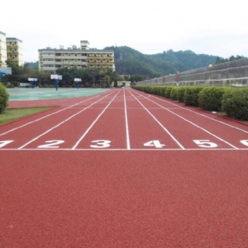 體育場地設施、球場圍網設計安裝