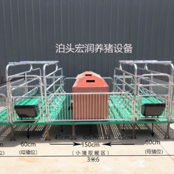 河北養(yǎng)豬設(shè)備 批發(fā)價(jià)格 雙體豬產(chǎn)床