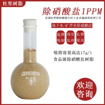 飲用水除亞硝酸鹽樹脂