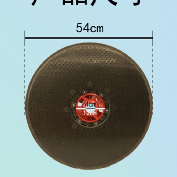容恩洗地機配件 56針座 R56B R56BT R-XBEN 21寸針盤 原廠原裝