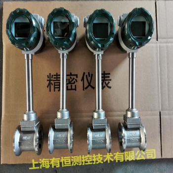 過熱蒸汽流量計(jì) 鍋爐流量計(jì)上海有恒廠家**